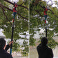 8 Inch Cordless Electric Chainsaw with red and blue pole-mounted body, cutting branches high in a leafy tree