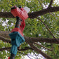 8 Inch Cordless Electric Chainsaw with a red and teal body, black grip, and long pole cutting through a tree branch