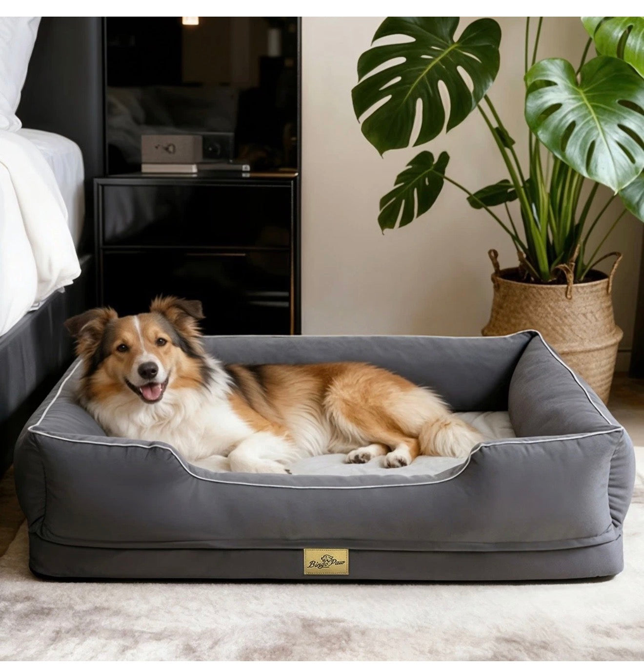 Orthopedic Dog Bed