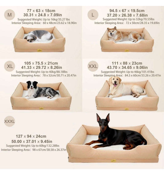 Orthopedic Dog BedAussies prmemium shopdog bedgarden tool AussiePaws