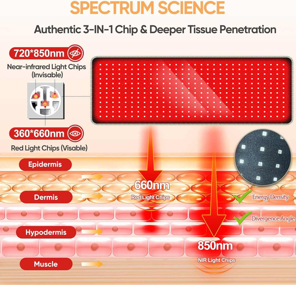 Promotes collagen production and skin rejuvenation