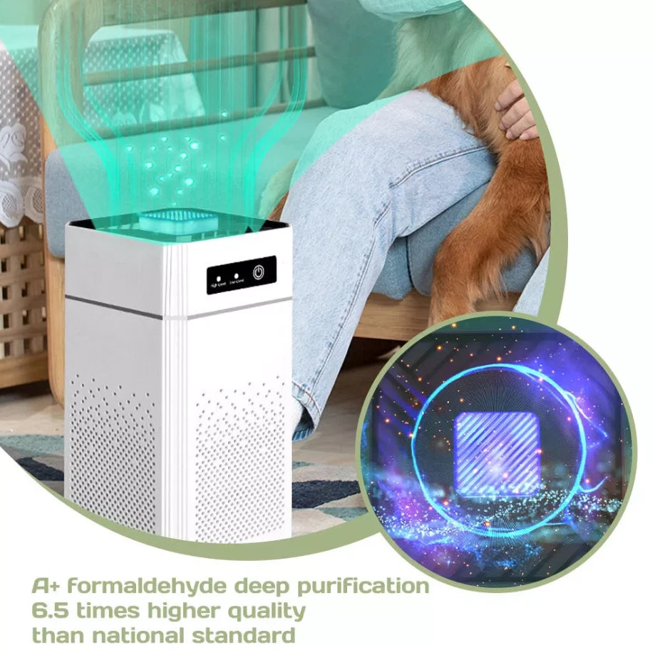 Compact Car Air Purifier with True HEPA Filter & Essential Oil Diffuser | 360° Air Intake & Low Noise