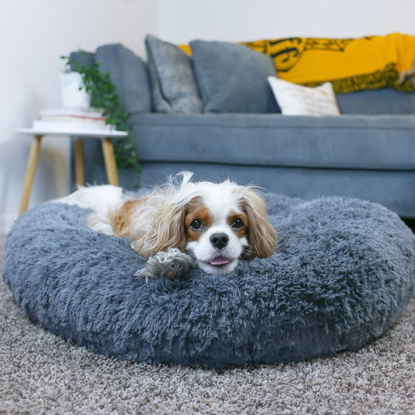 Dog Beds Australia, Dog Calming Bed, Aussies Premium Shop